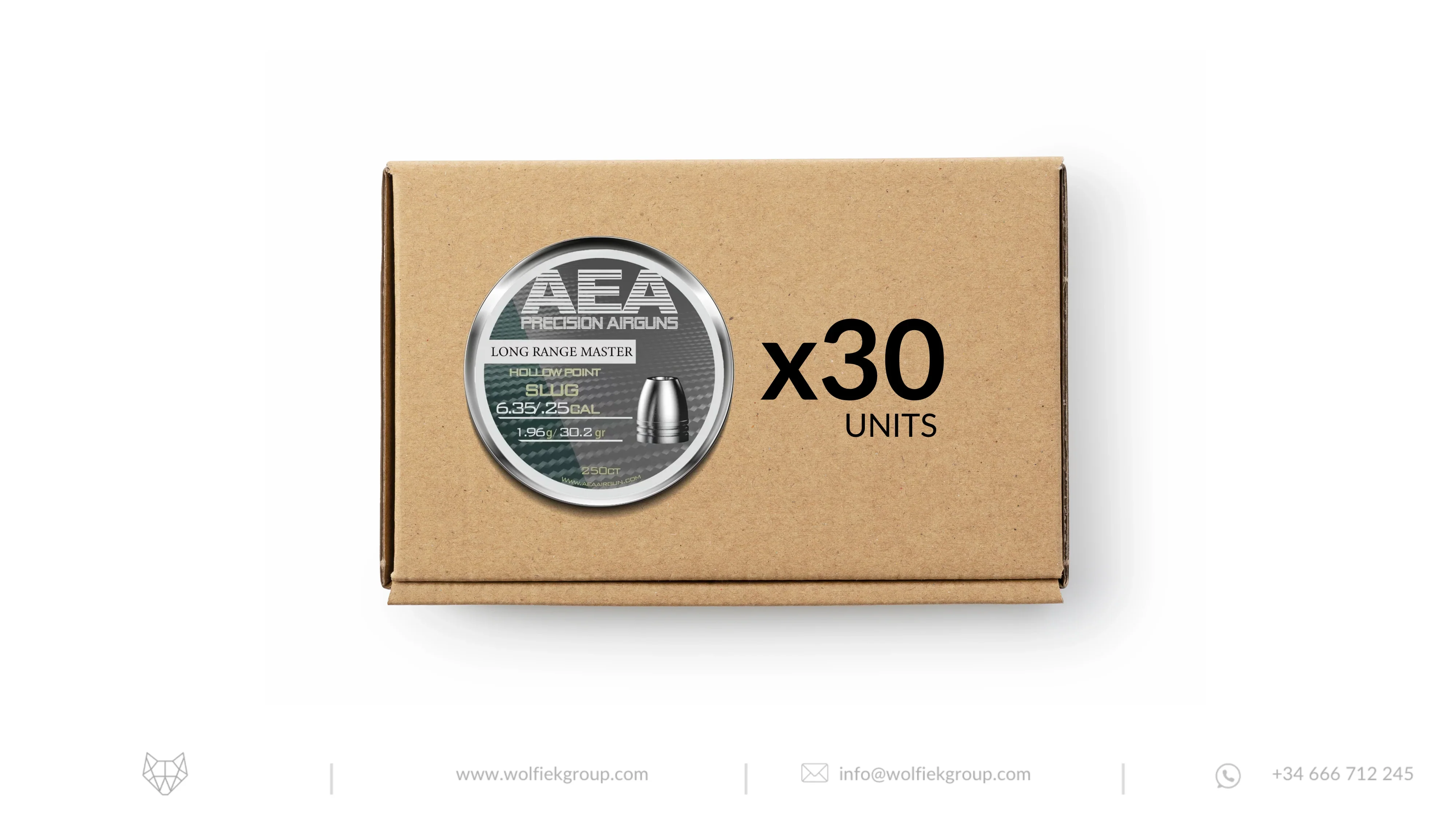 AEA Master Box Long Range Master Slugs · Hollow Point · Cal .25 (6.35mm)