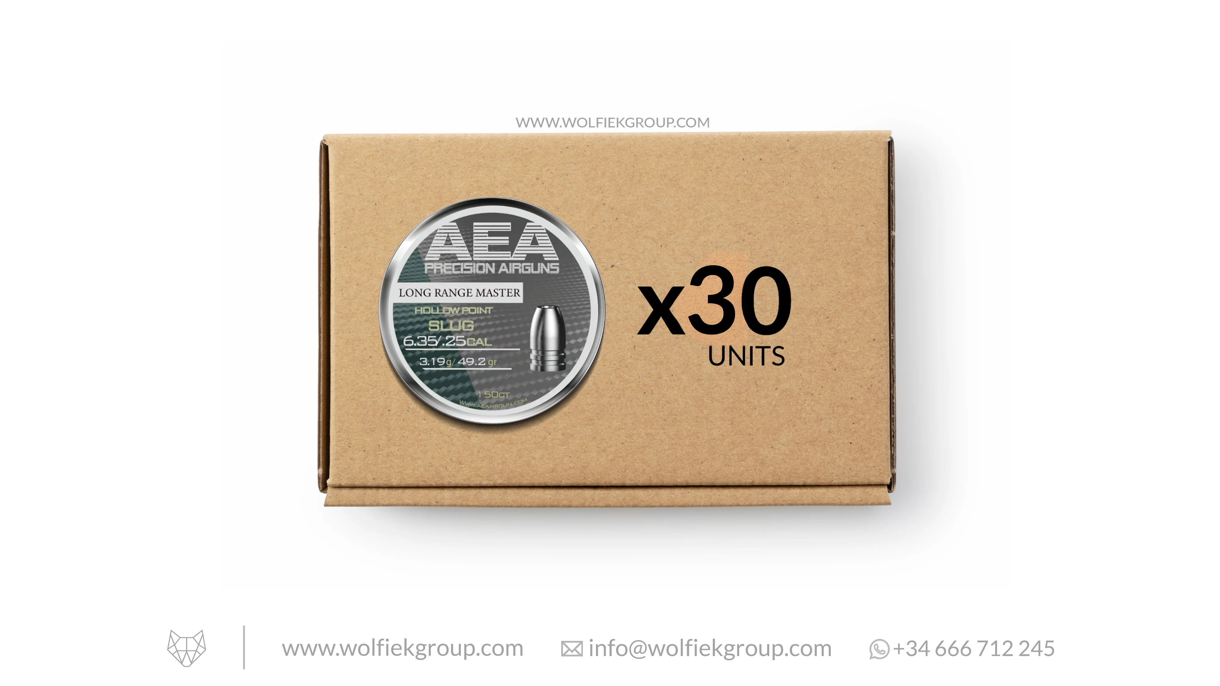 AEA Master Box Long Range Master Slugs · Hollow Point · Cal .25 (6.35mm) - Image 2
