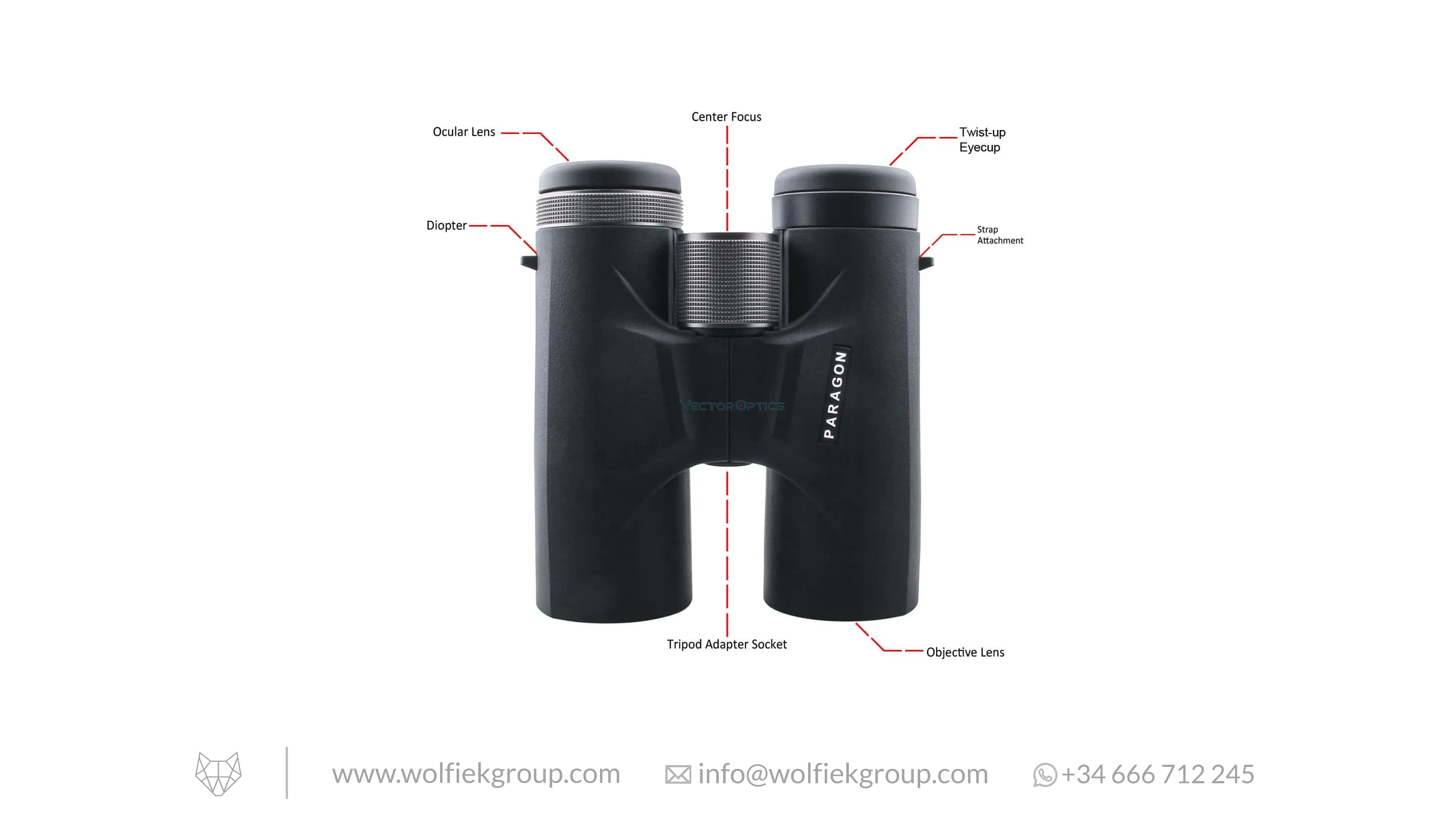 Vector Optics Paragon Binoculars – 10x42 Prism - Image 3